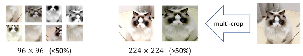 DINO Multi-Crop Strategy