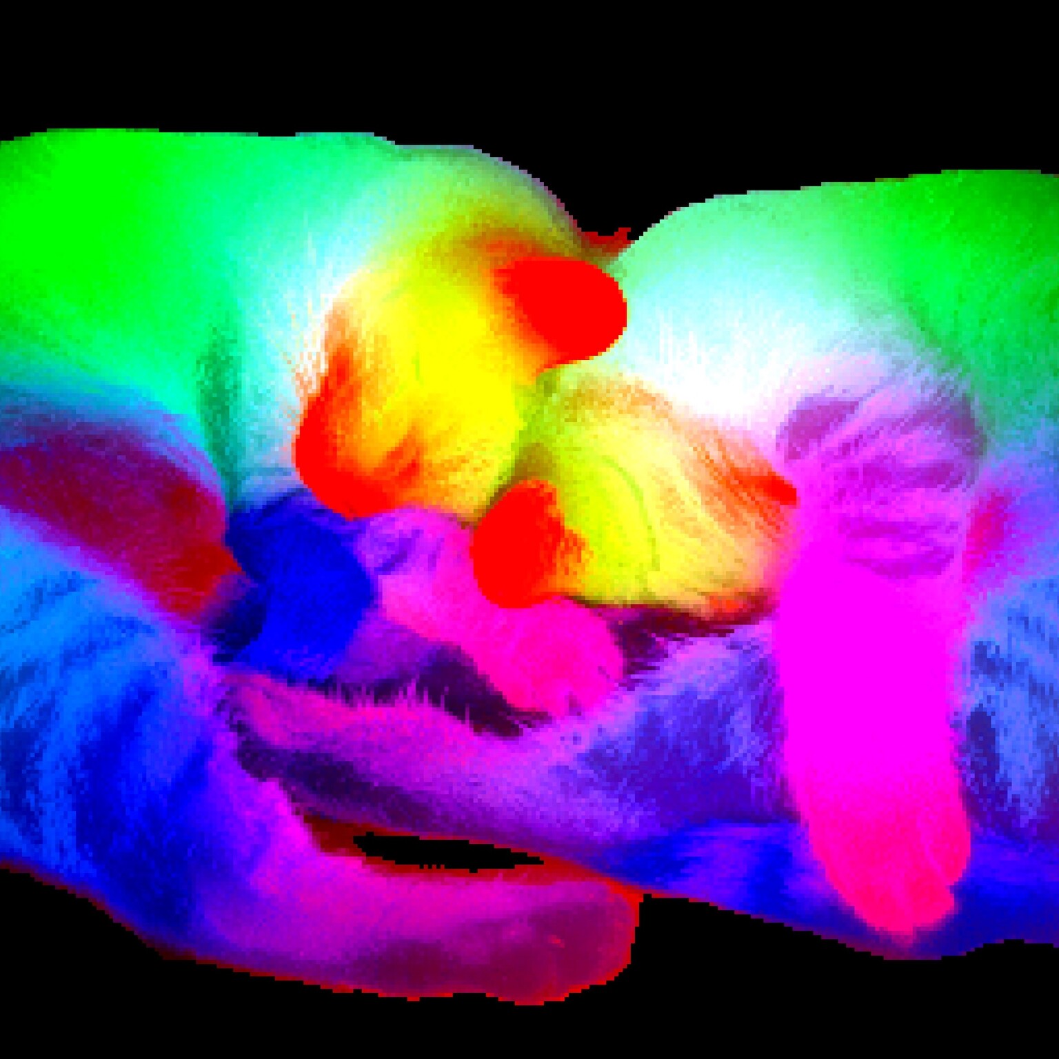 DINOv3 PCA Visualization